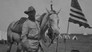 The Rough Riders and a New Horse