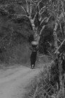 The Way to Nola's Farm