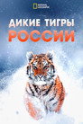 Постер: Russia's Wild Tiger