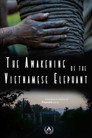 The Awakening of the Vietnamese Elephant