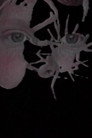 Arachne-Vanitas