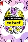 Le Cerveau, en bref