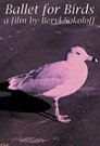 Ballet for Birds