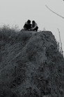 The Grass of Farewell