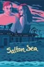 Salton Sea