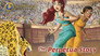 The Perpetua Story
