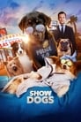 Poster van Show Dogs