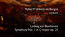 Symphony No. 1 in C major, op. 21 (1799/1800)