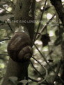 And Time Is No Longer An Obstacle (2015) In Streaming Ita /Altadefinizione Film Senza Limiti