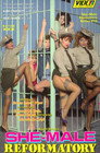 She-Male Encounters 13: She-Male Reformatory