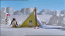 Pingu and Pinga Go Camping