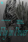Fly in Power