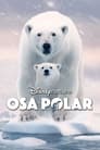 Osa Polar (2022) | Polar Bear