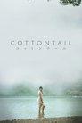 Cottontail (2024)