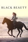 Black Beauty 2020 WEBRip 1080p 720p