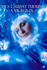 (HD). Mi A Csudát Tudunk A Világról!? Teljes Film Magyarul (2004) Ingyen Online