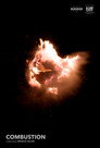 Combustion