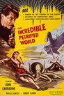 The Incredible Petrified World
