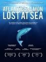 Atlantic Salmon: Lost at Sea