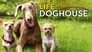 2018 - Life in the Doghouse thumb