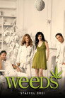 Staffel 3