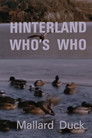 Hinterland Who's Who: Mallard Duck