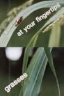 At Your Fingertips: Grasses At Your Fingertips: Grasses(1970)|Ταινίες Online με ελληνικούς υπότιτλους