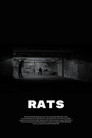 Rats
