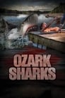 Ozark Sharks poster