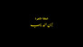Son of El Deeb