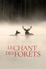 Le Chant des forêts Voirfilms