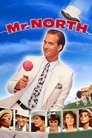 Mr. North poster