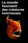 Le monde fascinant des créatures lumineuses Le monde fascinant des créatures lumineuses
