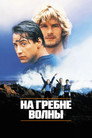 Постер: Point Break