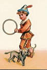 The Trained Dogs
