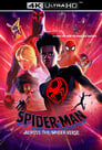 movie poster 569094tt9362722-226