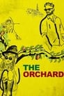 The Orchard