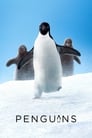 Poster for Penguins