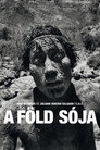 (HD). A Föld Sója Teljes Film Magyarul (2014) Ingyen Online