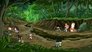 The Great Fossil Rush