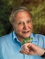 David Attenborough isHimself - Presenter