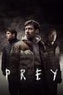 Poster van Prey