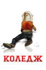 Коледж
