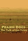 Prairie Dogs: Talk of the Town