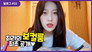 Choerry #31