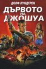 Дървото на Джошуа