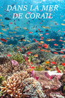 Dans la Mer de Corail