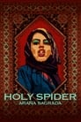 Image Holy Spider (Araña sagrada)