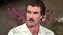 Magnum, P.I. 8x4