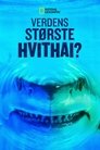 Plakat for 'World's Biggest Great White?'
